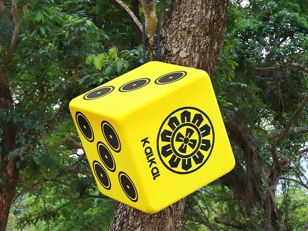 archery dice target