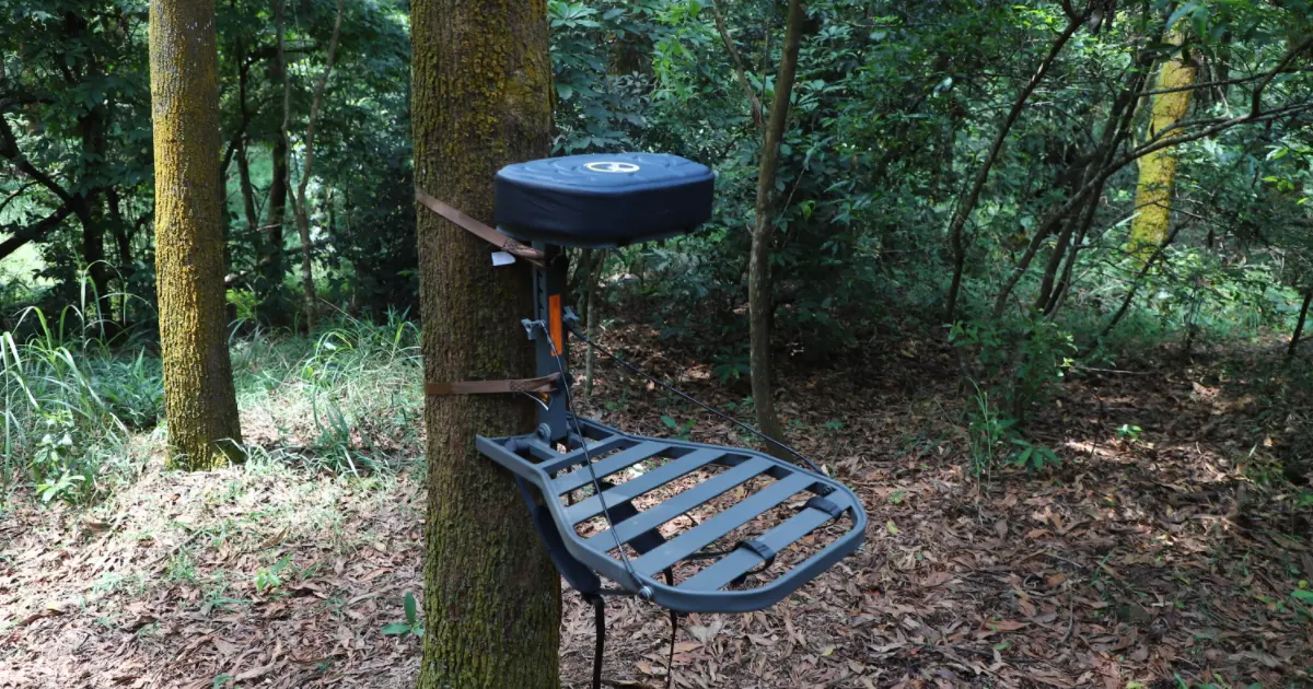 set up a hang-on stand on the tree trunk