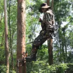 tree saddle hunting guide