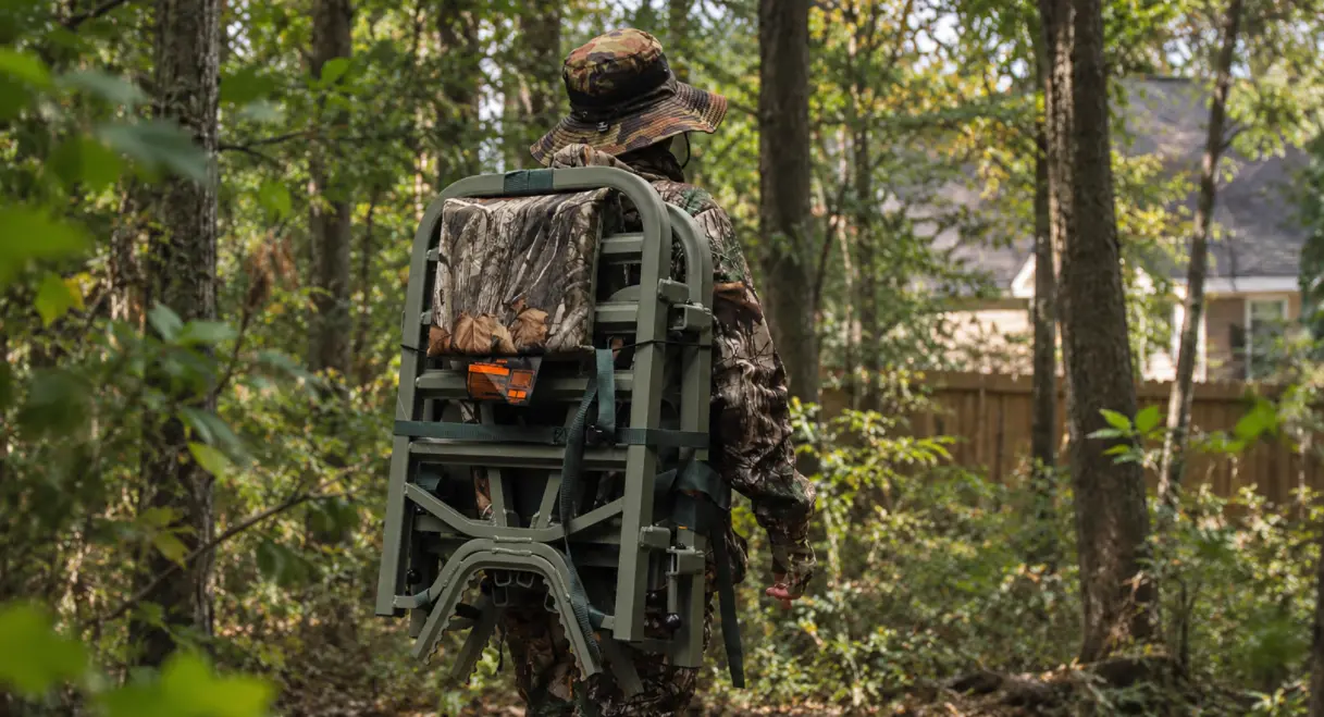 treestand deer hunting in urban woods