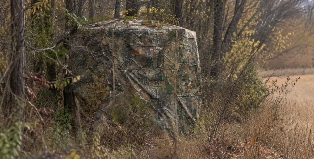 a hunting blind is decorated with natural branches for better concealment