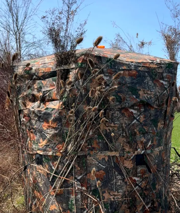 add natural brush or branches to break up the outline of hunting blind